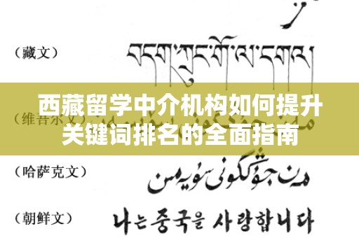 西藏留学中介机构如何提升关键词排名的全面指南