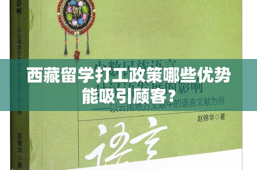 西藏留学打工政策哪些优势能吸引顾客？