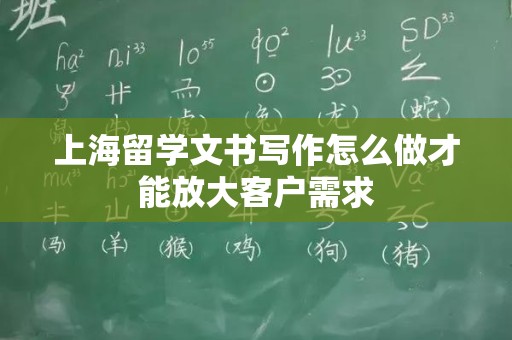 上海留学文书写作怎么做才能放大客户需求
