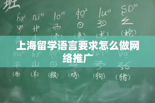 上海留学语言要求怎么做网络推广