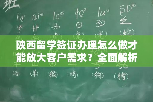 陕西留学签证办理怎么做才能放大客户需求？全面解析与实用建议