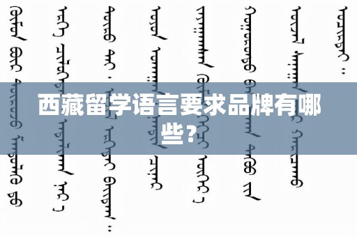 西藏留学语言要求品牌有哪些？