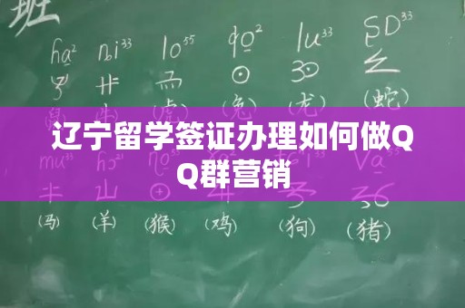 辽宁留学签证办理如何做QQ群营销