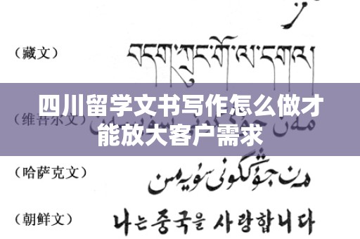 四川留学文书写作怎么做才能放大客户需求