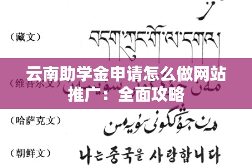 云南助学金申请怎么做网站推广：全面攻略