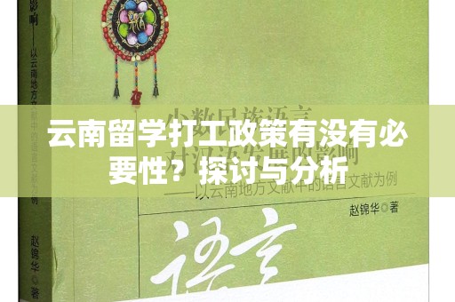 云南留学打工政策有没有必要性？探讨与分析