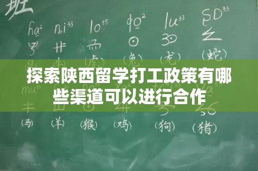 探索陕西留学打工政策有哪些渠道可以进行合作
