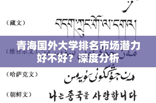 青海国外大学排名市场潜力好不好？深度分析