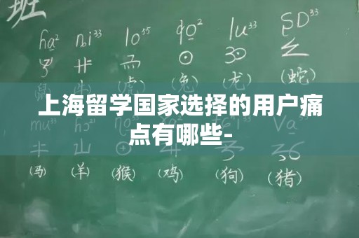 上海留学国家选择的用户痛点有哪些-