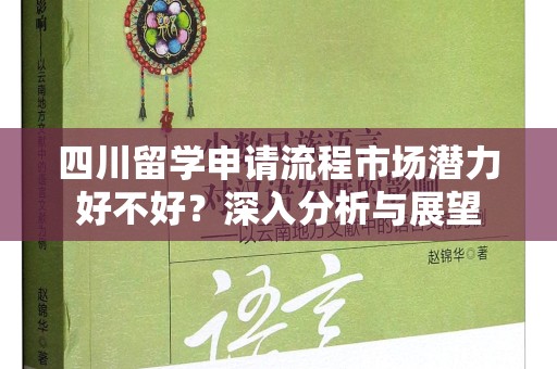 四川留学申请流程市场潜力好不好？深入分析与展望