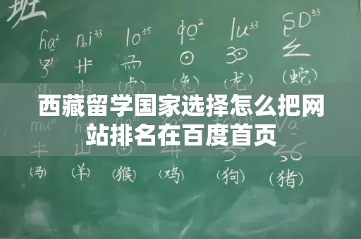西藏留学国家选择怎么把网站排名在百度首页