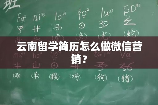云南留学简历怎么做微信营销？