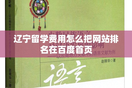 辽宁留学费用怎么把网站排名在百度首页