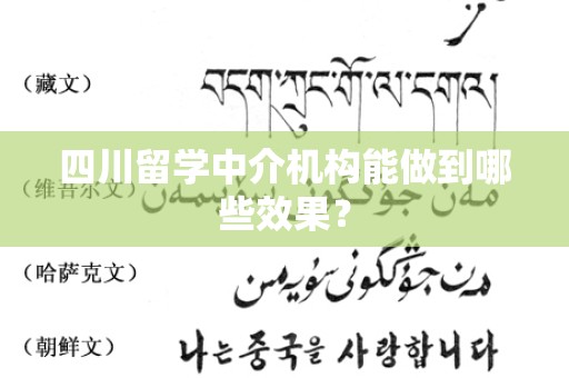四川留学中介机构能做到哪些效果？