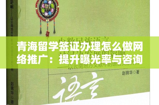 青海留学签证办理怎么做网络推广：提升曝光率与咨询量的策略