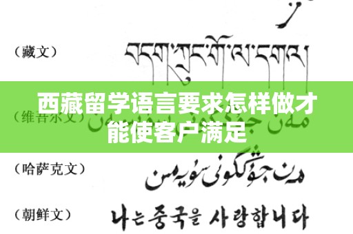 西藏留学语言要求怎样做才能使客户满足