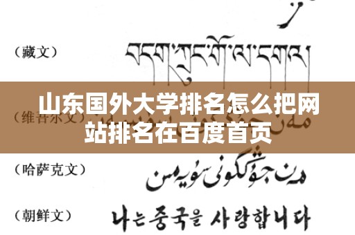 山东国外大学排名怎么把网站排名在百度首页