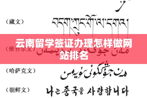 云南留学签证办理怎样做网站排名
