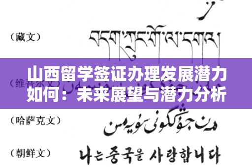 山西留学签证办理发展潜力如何：未来展望与潜力分析