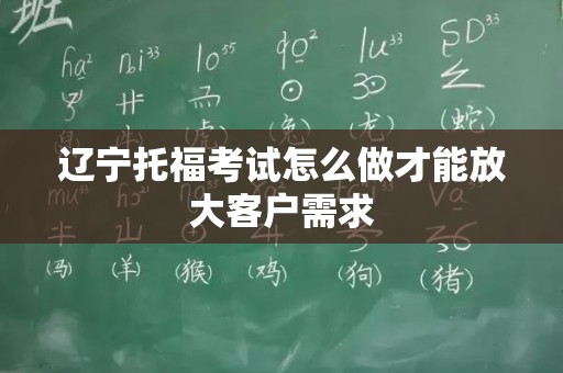 辽宁托福考试怎么做才能放大客户需求