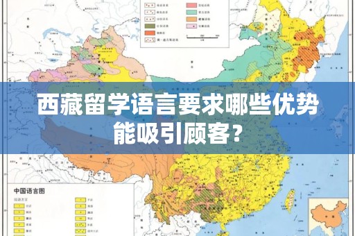 西藏留学语言要求哪些优势能吸引顾客？