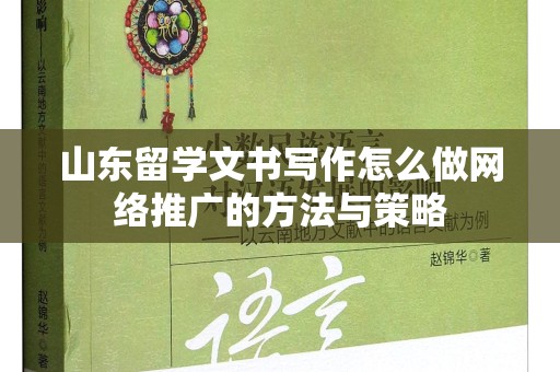 山东留学文书写作怎么做网络推广的方法与策略